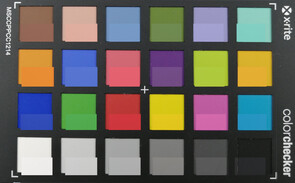 ColorChecker: El color de destino se muestra en la mitad inferior de cada campo.