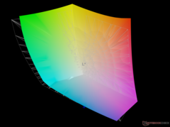 frente a Adobe RGB - 92,6% de cobertura