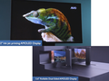 En lo que respecta a los grandes paneles OLED, AUO podría convertirse en un serio competidor de LG en un futuro próximo. (Fuente de la imagen: AUO)