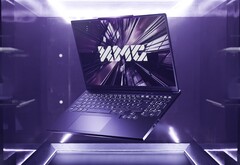Más opciones de nivel básico para los jugadores con un presupuesto ajustado. (Fuente de la imagen: XMG)