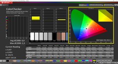 CalMAN ColorChecker (perfil: Vívido, espacio de color de destino: P3)