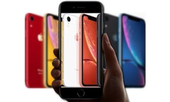 Parece que el iPhone SE de próxima generación podría estar basado en el iPhone XR de Apple. (Fuente de la imagen Apple - editada)