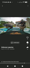 Red social de aves integrada