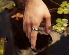 Samsung está desarrollando una nueva alternativa al Oura Ring 5.