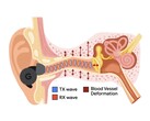 La APG utiliza tonos ultrasónicos modulados por los cambios de presión en el canal auditivo (Fuente de la imagen: Google Research)
