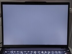 Casi sin sangrado de retroiluminación (se muestra mejorado aquí)