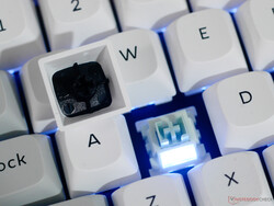 Retroiluminación de interruptor Keychron Q1 HE 8K