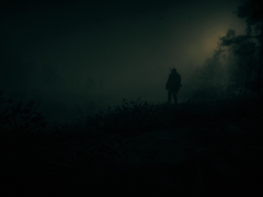 Una captura de pantalla de Red Dead Redemption 2 funcionando en PC (fuente de la imagen: Comunidad Steam)