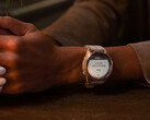 Los recientes smartwatches 'Pro' de Garmin vuelven a ser aptos para recibir actualizaciones beta. (Fuente de la imagen: Garmin)