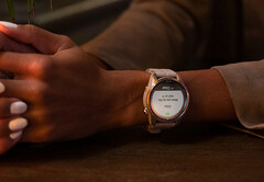 Los recientes smartwatches 'Pro' de Garmin vuelven a ser aptos para recibir actualizaciones beta. (Fuente de la imagen: Garmin)