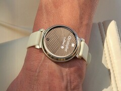 El smartwatch Garmin Lily 2 (en la imagen) recibe la versión beta 8.01. (Fuente de la imagen: Garmin)