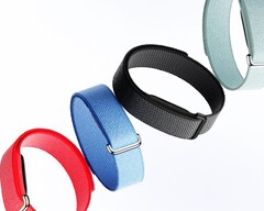 Fitbit Air compite con Whoop 5.0 a un precio mucho más bajo.