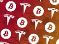 El valor de Bitcoin se dispara casi un 20% en un día con la ayuda de Tesla. (Fuente de la imagen: TechCrunch)