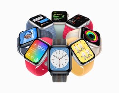 Apple El smartwatch Watch SE se lanza el 7 de septiembre (Fuente: Apple)
