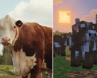 Una captura de pantalla de la actualización de Minecraft Tiny Takeover en la que se comparan las vacas del juego con una de verdad