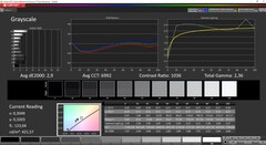 CalMan ColorChecker - Escalas de grises