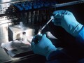 Los científicos han desarrollado una biotinta que puede utilizarse para imprimir materiales vivos. (Fuente de la imagen: National Cancer Institute on Unsplash)
