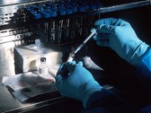 Los científicos han desarrollado una biotinta que puede utilizarse para imprimir materiales vivos. (Fuente de la imagen: National Cancer Institute on Unsplash)