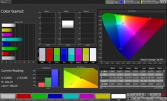 Espacio de color CalMAN sRGB