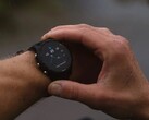 Garmin lanza la versión beta pública 17.22 para varios modelos Forerunner, incluido el 255 (arriba). (Fuente de la imagen: Garmin)