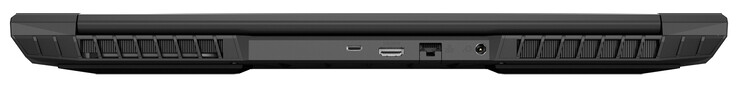 Parte trasera: USB 3.2 Gen 2 (Tipo C; DisplayPort 1.4, compatible con G-Sync), HDMI 2.1 (HDCP 2.3), Gigabit Ethernet, alimentación