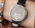 El smartwatch Garmin Lily ya está disponible en dos nuevos colores. (Fuente de la imagen: Garmin)