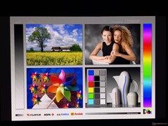 Amplios ángulos de visión OLED