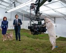 Para lograr la estética distintiva del programa, inspirada en los años 70, los cuerpos de cámara se emparejaron con objetivos anamórficos Panavision Serie C. (Fuente de la imagen: Apple TV+)