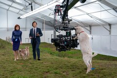 Para lograr la estética distintiva del programa, inspirada en los años 70, los cuerpos de cámara se emparejaron con objetivos anamórficos Panavision Serie C. (Fuente de la imagen: Apple TV+)