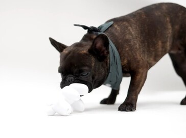 Juguete masticable «Dog Mode»
