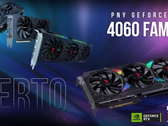 Tarjetas RTX 4060 de PNY. (Fuente: PNY)