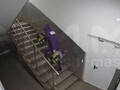 Las cámaras de vigilancia captaron a los empleados del almacén robando un montón de costosas GPU Nvidia RTX 3070 Ti (Imagen: Mash)