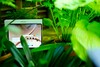 Reseña del OnePlus Pad 4