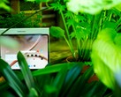 El OnePlus 4 es una tableta estupenda, pero su periodo de soporte técnico no es el ideal.