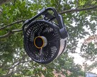 Compatible con la instalación de árboles
