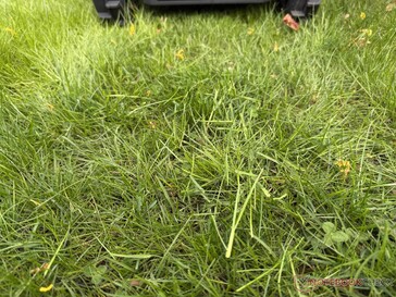 La Airseekers Tron deja recortes de hierba más largos en la prueba...