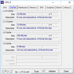 CPU-Z: cachés