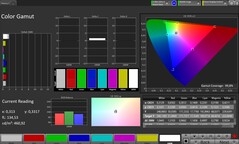 Espacio de color CalMAN – Pantalla para exteriores