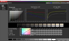 Escala de grises (calibrada)