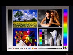 Amplios ángulos de visión de las pantallas OLED