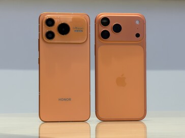 Las similitudes predominan en la espalda.