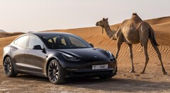 El Tesla Model 3 Long Range AWD vuelve a estar disponible para pedidos. (Fuente de la imagen: Tesla)