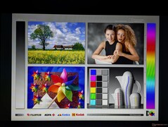 Amplios ángulos de visión IPS