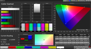 CalMAN: Espacio de color - Amplio perfil de gama de colores, espacio de color de destino DCI P3