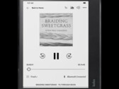 El Kobo Elipsa 2E se vende por casi 400 dólares. (Fuente de la imagen: Rakuten Kobo)