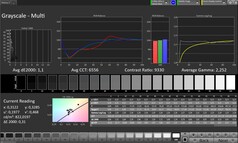 Escala de grises (modo de color: Profesional, espacio de color de destino: sRGB)