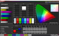CalMAN - espacio de color (brillante, estándar, sRGB)