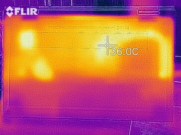 Distribución del calor (en reposo)