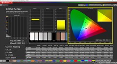 CalMAN ColorChecker (perfil: sRGB, espacio de color de destino: sRGB)