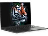 La opción de pantalla 3K se basa en la tecnología LTPS LCD que suele verse en los smartphones. (Fuente de la imagen: Tuxedo)